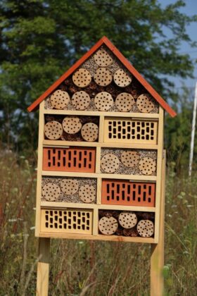 W Dąbrowie G&oacute;rniczej powstały nowe łąki kwietne i domki dla owad&oacute;w &ndash; fot. UM Dąbrowa G&oacute;rnicza