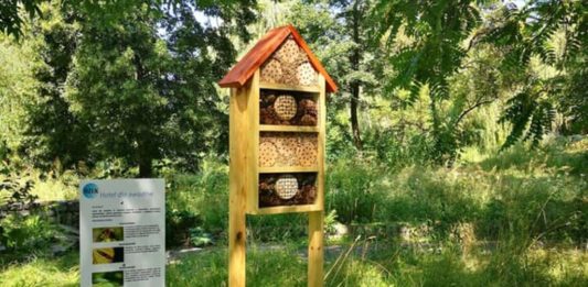 Domki dla owadów – fot. MZUK Sosnowiec