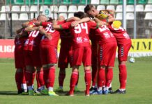 Piłkarze Zagłębia Sosnowiec - fot. Paulina Skóra