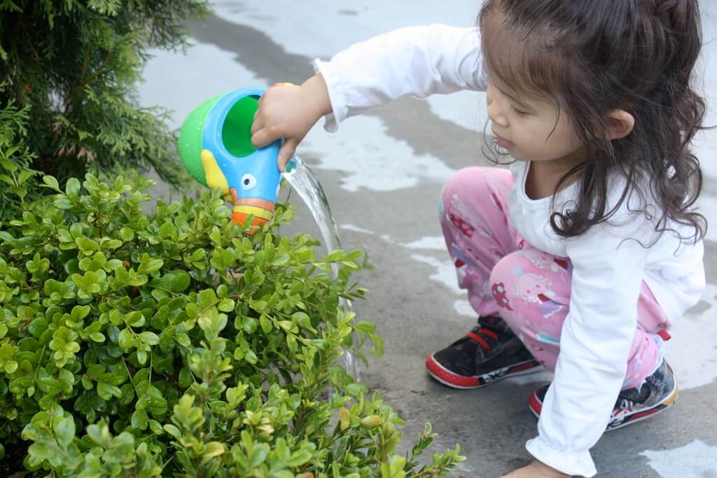 Podlewanie kwiatów - fot. Flickr Podlewanie kwiatów - fot. Flickr