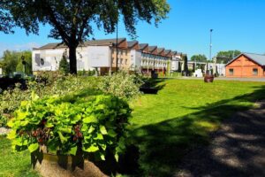 Budynek, Fabryka Pełna Życia, Zieleń, Drzewo, Trawa