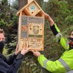 Mężczyźni, Budka dla owadów, Drzewo, Zieleń, Liście, Owady