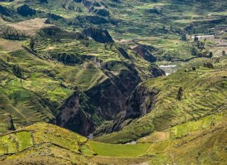 Kanion Colca, kanion, peru, podróże, podróżnicy