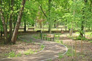 Przyroda, Drzewa, Trawa, Chodnik, Ścieżka, Ławeczki, Park