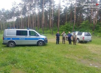policja, nadleśnictwo, las, tereny zielone