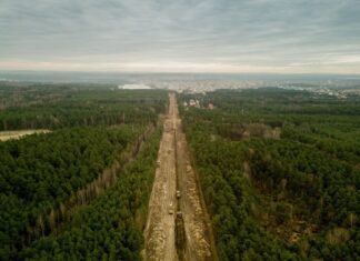 las, zieleń, roboty budowlane, modernizacja, budowa