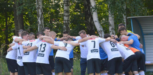 Zawodnicy stoją na murawie