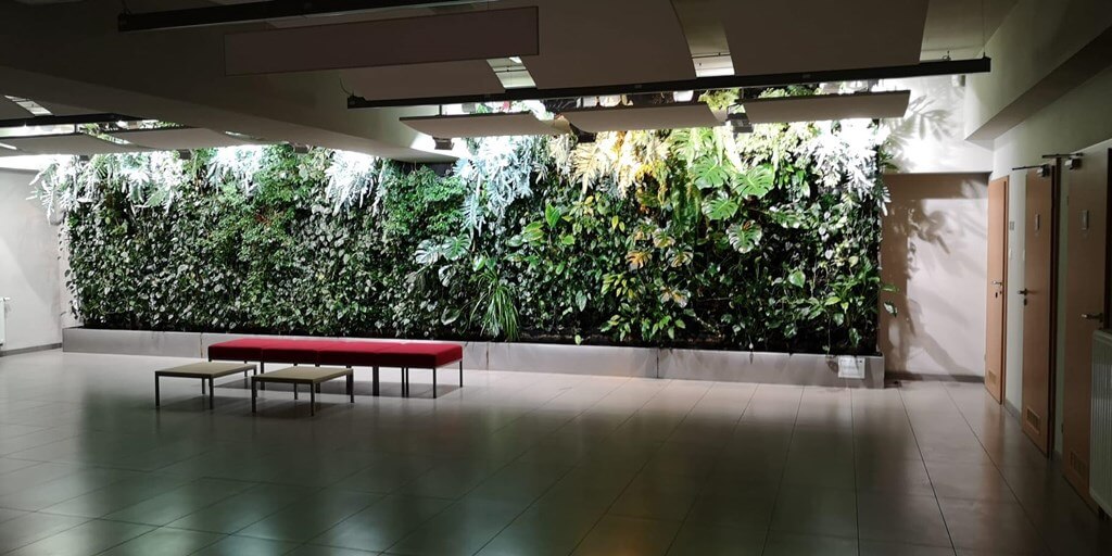 korytarz, rośliny