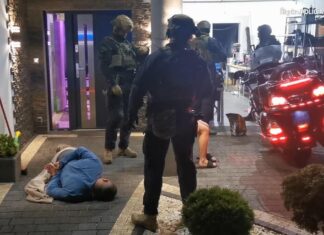 policja