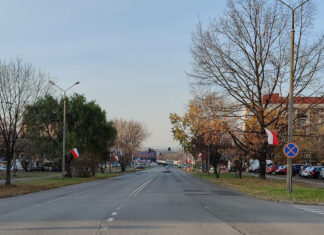 ulica i drzewa