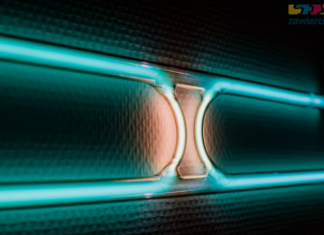 neon, wystawa