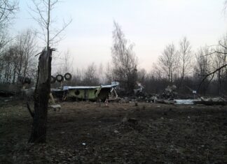 Katastrofa, Smoleńsk, samolot