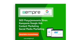 Jak działać w SEO?